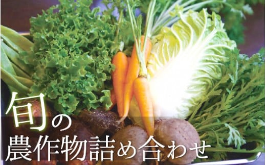 北方旬の農作物詰め合わせセット　N020-YZA409