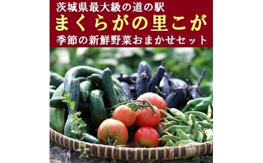 道の駅まくらがの里古河 季節の新鮮野菜おまかせセット_BQ02 - 茨城県