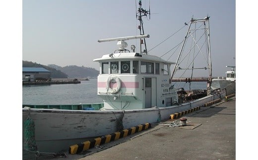 【G0124】観光底引き網体験　採れた魚介類のお土産付き 311970 - 愛知県蒲郡市