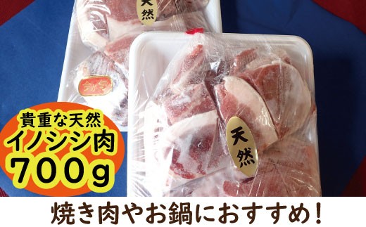 北川産イノシシ肉