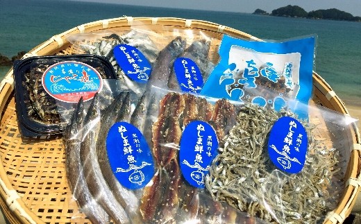 Sgn25 南阿波よりお届け 海の恵み 干物セット 約８品 徳島県海陽町 ふるさと納税 ふるさとチョイス