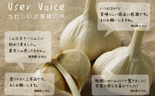 人気の青森県産 にんにく 最上級品 大サイズ 1kg 年産 青森県三戸町 ふるさと納税 ふるさとチョイス