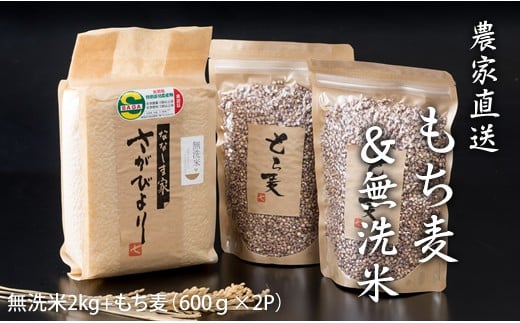 もち麦（1200g）・無洗米（2kg）セット 美容 健康 ダイエット 美肌 腸活 957724 - 佐賀県小城市