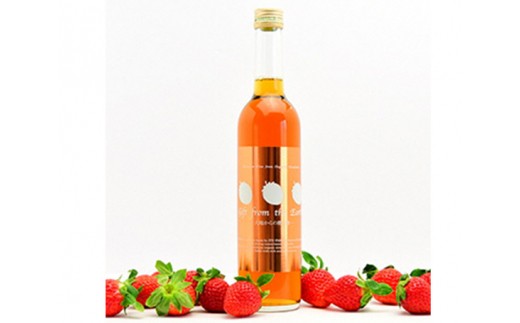 No 059 いちごワイン Gift From The Earth 大地からの贈り物 お酒 苺 イチゴ ひのしずく 添加物 熊本県 特産品 熊本県山鹿市 ふるさと納税 ふるさとチョイス No 059 いちごワイン Gift From The Earth 大地からの贈り物 お酒 苺 イチゴ ひのしずく 添加物 熊本県 特産品 熊本県山鹿市 ふるさと納税 ふるさとチョイス