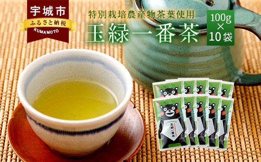 くまモン 玉緑一番茶 100g 10袋セット 緑茶 日本茶 一番茶 312021 - 熊本県宇城市