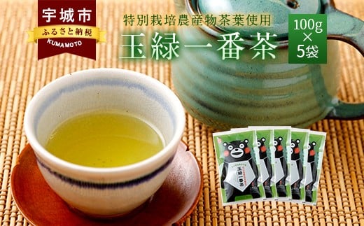 くまモン 玉緑一番茶 100g×5袋セット 緑茶 日本茶 一番茶 312023 - 熊本県宇城市