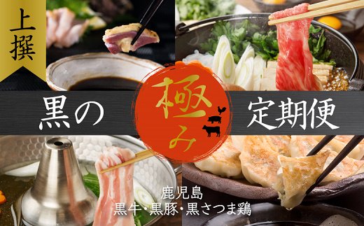 【全12回】 上撰 黒の極み定期便 KURO-ST