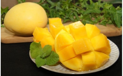 完熟金蜜マンゴー１kg（２個～４個入り）先行予約 果物 南国フルーツ