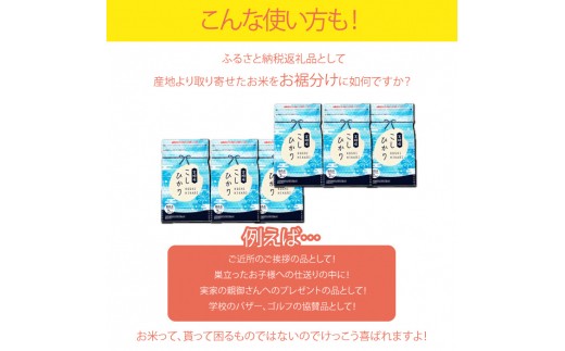 ＜令和5年産無洗米宮崎県産コシヒカリ 2kg×6＞