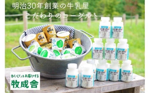 明治30年創業の牛乳屋の牛乳屋の飛騨産生乳で作る　ヨーグルト盛りだくさんセット