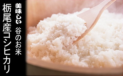 美味しい「谷のお米」栃尾産コシヒカリ