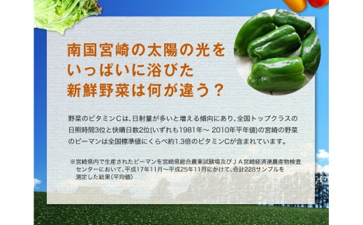 野菜ソムリエが選ぶ 旬のこゆ野菜セット 6ヵ月定期便 C77 宮崎県新富町 ふるさと納税 ふるさとチョイス