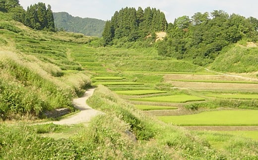 新潟県栃尾地域の風景