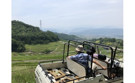 010 046世界で唯一の4人乗り軽トラック バモスホンダ に乗って 棚田アドベンチャーガイド 1名参加コース 長野県上田市 ふるさと納税 ふるさとチョイス