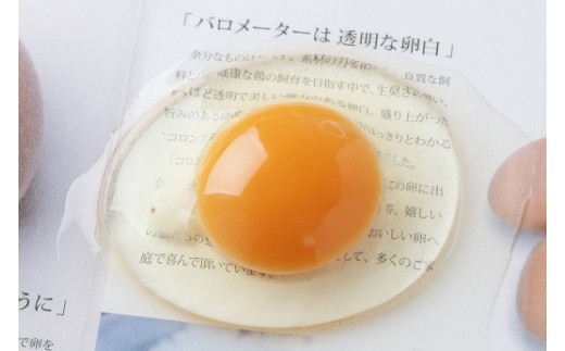 卵白が透き通る程、透明なベジタブル卵。