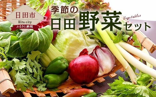 Ａ－０５　季節の 日田野菜 セット 詰め合せ 1263927 - 大分県日田市