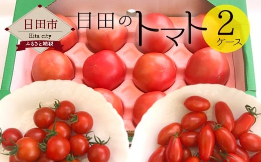 A－０４　日田のトマト 2ケース 計1.6kg