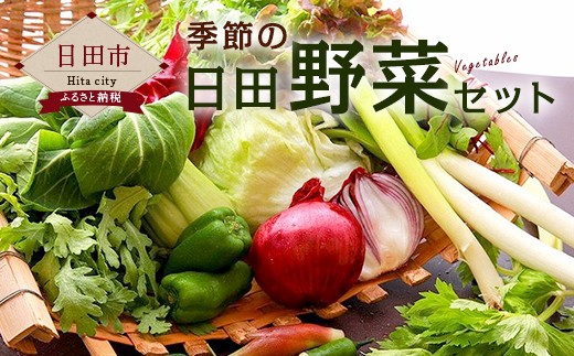 A－０５　季節の 日田野菜 セット 詰め合せ
