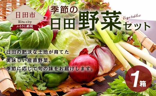 A－０５　季節の 日田野菜 セット 詰め合せ