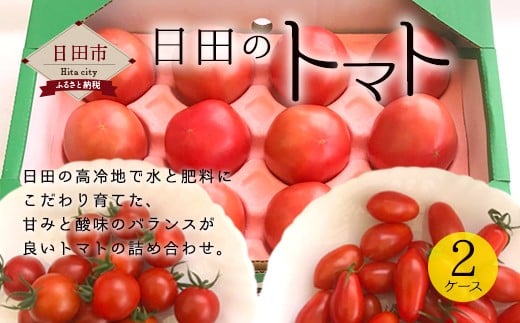 A－０４　日田のトマト 2ケース 計1.6kg