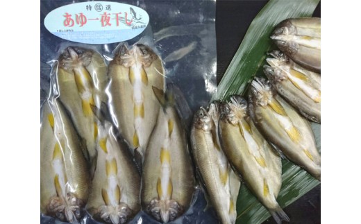 No 139 まるしん特製 鮎の一夜干し 10尾 魚 あゆ アユ 干物 茨城県 茨城県常陸大宮市 ふるさと納税 ふるさとチョイス