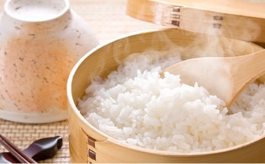 [№5568-0116]揖斐郡産 味のいび米はつしも精米10kg - 岐阜県揖斐川
