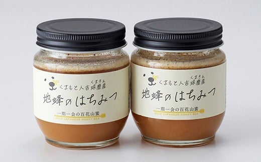 人吉球磨産『幻の地バチの蜂蜜』200g×2個 797756 - 熊本県人吉市