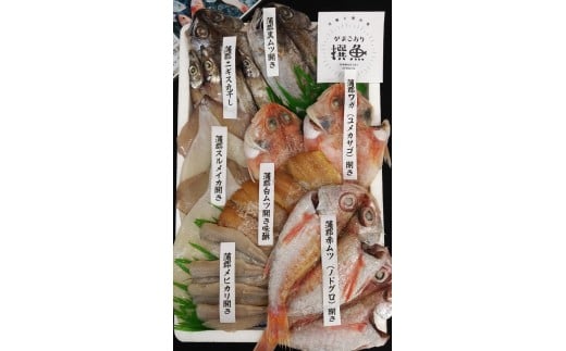 【G0125】味のヤマスイ　形原漁港　がまごおり撰魚セット