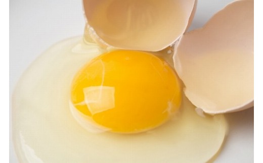 【6ヶ月定期便】田中鶏卵の産みたて卵（60個） 899034 - 茨城県笠間市