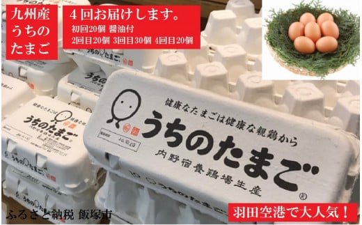 うちのたまご醤油セット(4回お届け)【C-054】 - 福岡県飯塚市