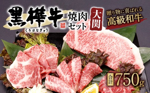 黒樺牛 焼肉セット大関 合計750g 黒毛和牛 焼き肉 盛り合わせ 牛肉 熊本県宇城市 ふるさと納税 ふるさとチョイス