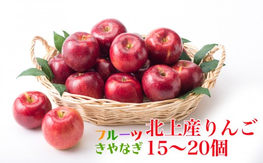 北上産 果汁たっぷり サンふじ りんご 15～20個