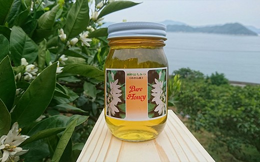 みかん蜜が採れるのは5月のたった2週間