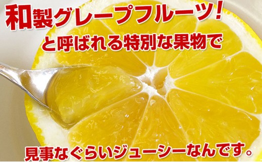 美生柑 みしょうかん 愛南産の河内晩柑 約7 5キロ入り 22個 18個 愛媛県愛南町 ふるさと納税 ふるさとチョイス