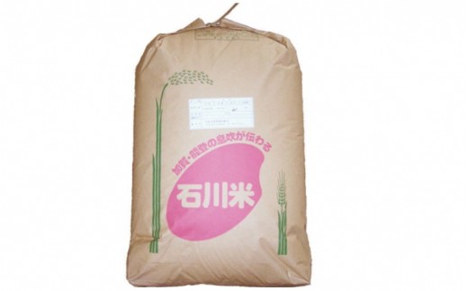 新米 ゆめみづほ 玄米30kg

　中国地方専用ページ