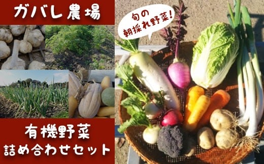 ガバレ農場の季節の有機野菜詰め合わせセット - 埼玉県鴻巣市