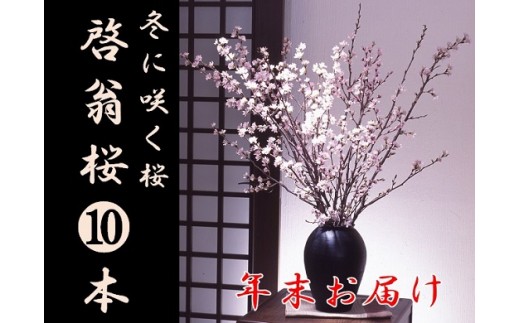 食の都庄内　【年末お届け】啓翁桜（10本束） 2013985 - 山形県三川町