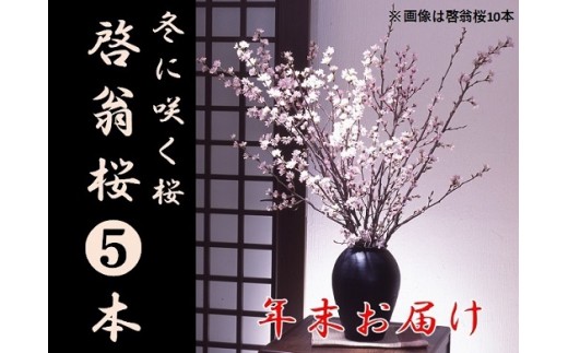 食の都庄内　【年末お届け】啓翁桜（5本束） 2013983 - 山形県三川町