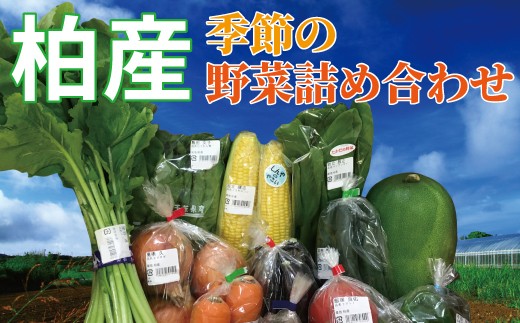 O-4 【柏産】季節の野菜詰め合わせBOX
