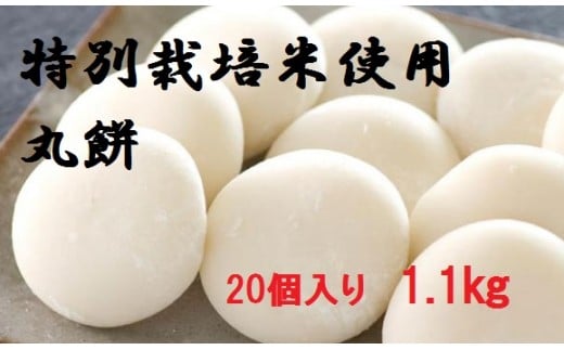 MS-23 大山のお米を使った丸餅（20個入り　1.1kg） 866112 - 鳥取県大山町
