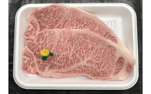 長崎和牛サーロインステーキセット（400g）