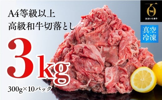 片桐さんの「おおいた和牛」切り落とし（300g×10P）計3kg