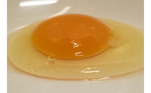 B5001スマイルたまご２段 卵 鶏卵 玉子 225289 - 山梨県富士川町