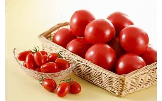 完熟たんばトマトの詰合せ　約2.7kg入り 651795 - 兵庫県丹波市