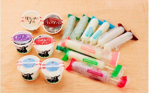 様々な味が楽しめるカップソフトとアイスキャンディーのミニセットです♪