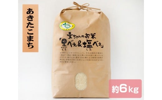黒米・塩米(あきたこまち)約6kg / お米 精米 千葉県