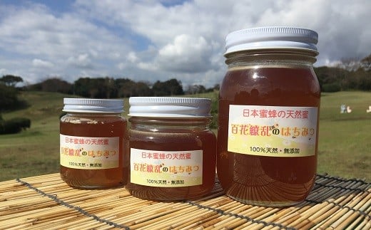 日本みつばちの天然蜜　たっぷりセット 849338 - 福島県いわき市
