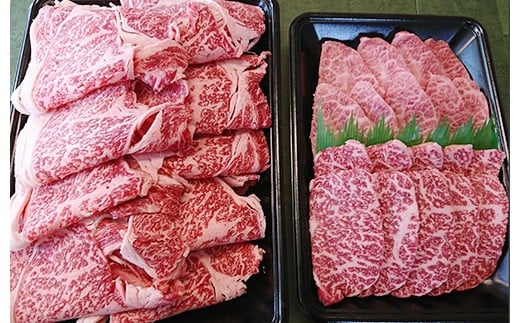 Ab 8 石垣牛すきしゃぶ600g 焼肉400gセット いしなぎ屋 沖縄県石垣市 ふるさと納税 ふるさとチョイス