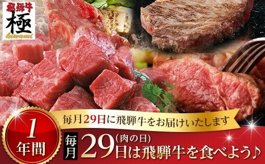 飛騨牛 定期便 毎月29日(肉の日) 飛騨牛を食べよう! 1年バージョン 牛肉 和牛 飛騨市推奨特産品