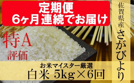 F 28 6ヶ月毎月お届け 鹿島市産さがびより 白米５ｋｇ定期便 佐賀県鹿島市 ふるさと納税 ふるさとチョイス